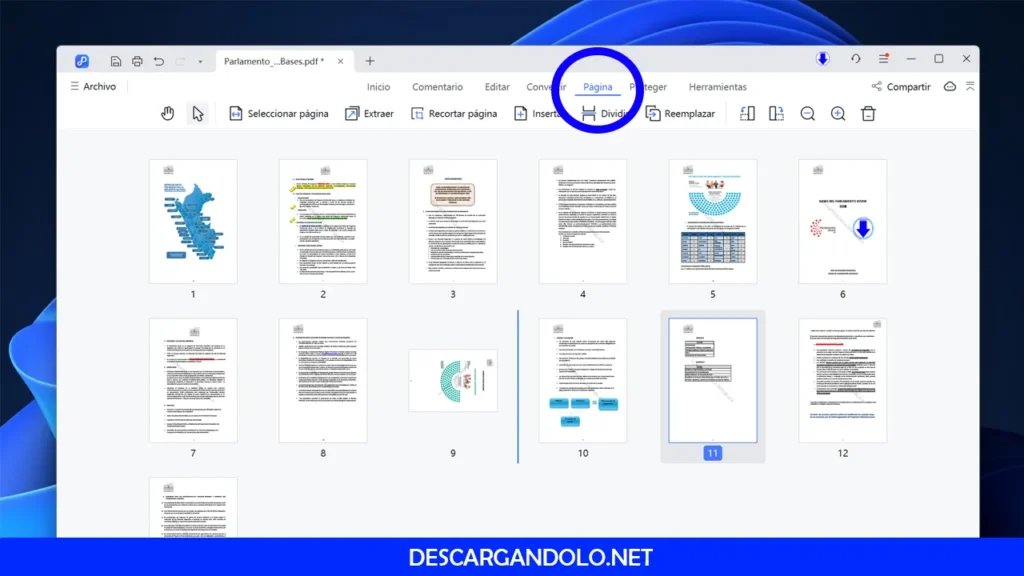 PDNob, editor de pdf.