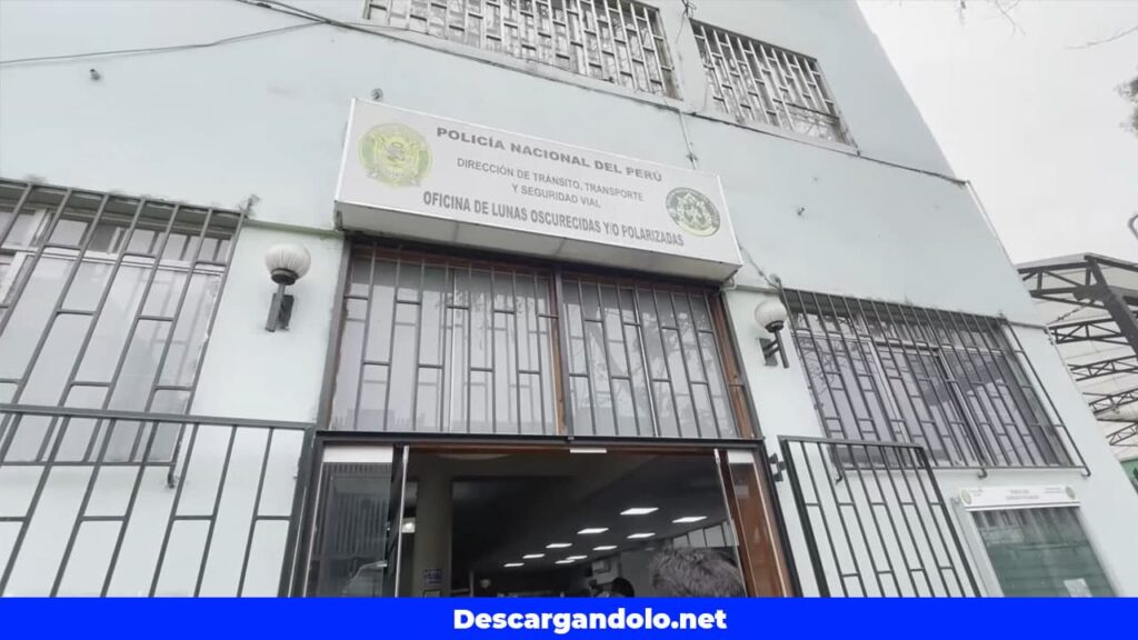 Oficina de Lunas polarizadas o oscuras.