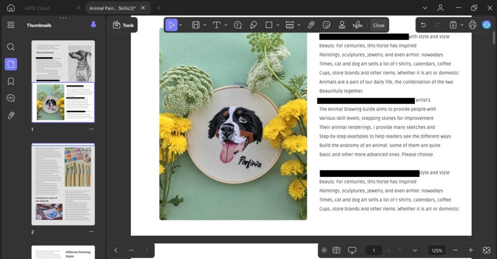 blacked-out-sections